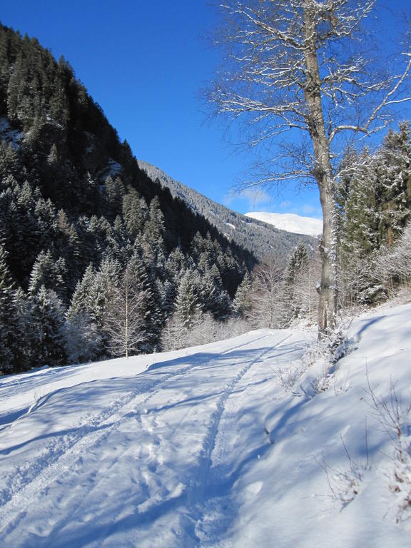 Appartamento Haus Walch Jerzens Esterno foto